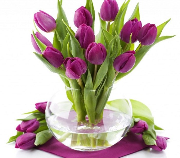 Tặng hoa sinh nhật là tulip