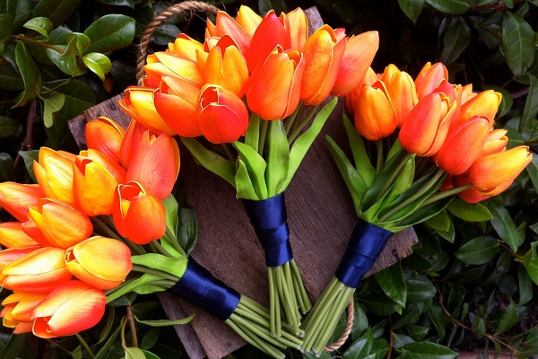 Chọn hoa tulip trang trí đám cưới