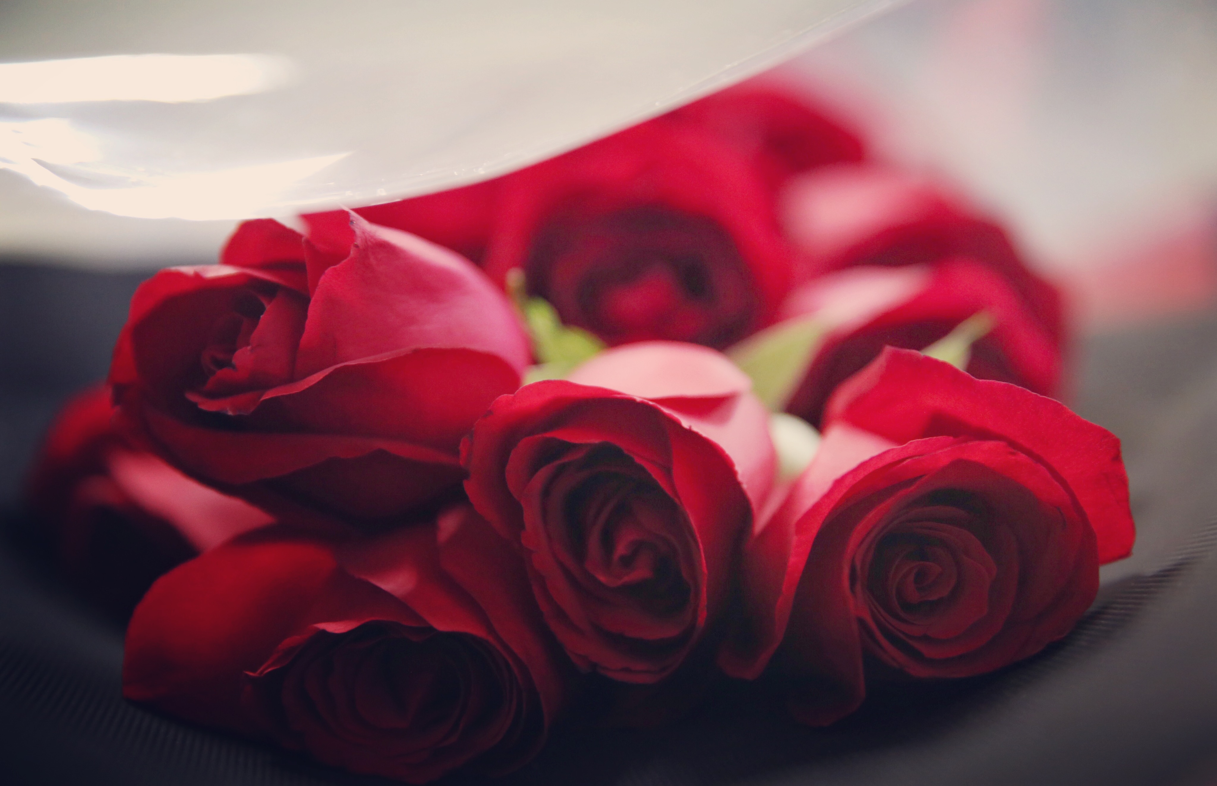 Ngắm nhìn vẻ đẹp của những bó hoa hồng đỏ tặng sinh nhật bạn gái ...