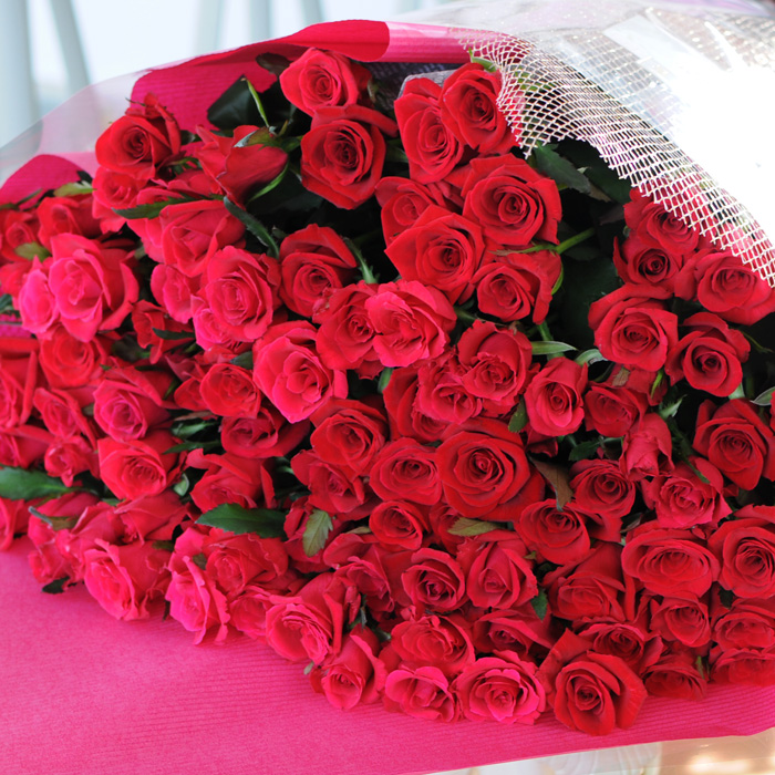 Vẻ đẹp quyến rũ của hoa hồng đỏ