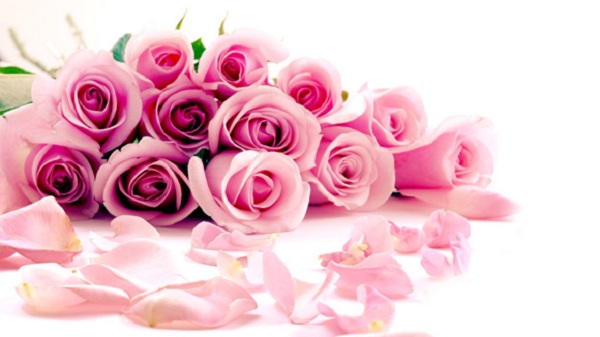 Tặng hoa hồng vào ngày sinh nhật cũng chính là bí quyết giúp mang đến sự may mắn