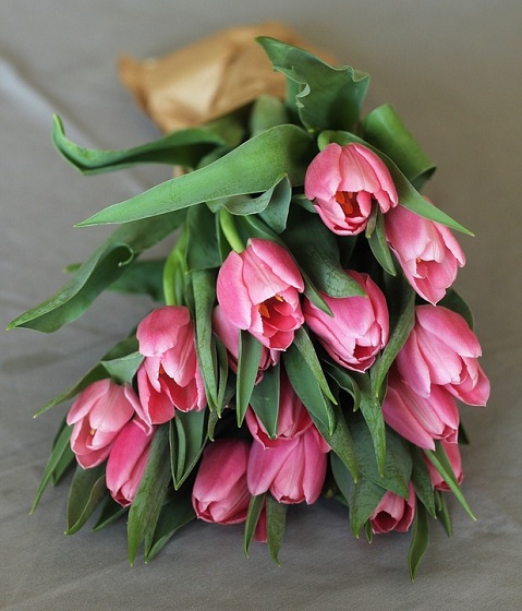 Bó hoa tulip tặng sinh nhật vợ