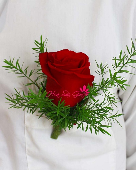 Hoa cài áo chú rể là đóa hoa hồng đỏ