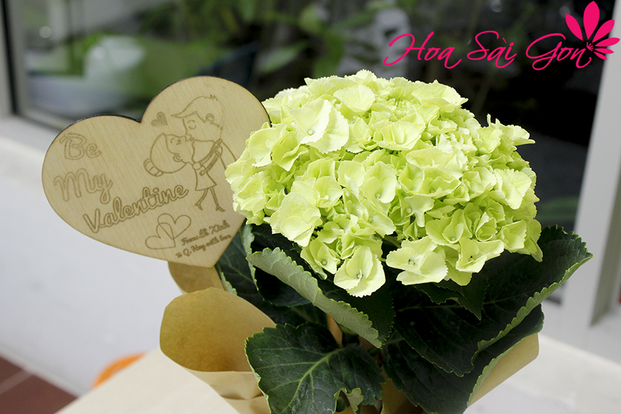 Tặng kèm thiệp gỗ đáng yêu Tặng kèm thiệp gỗ đáng yêu