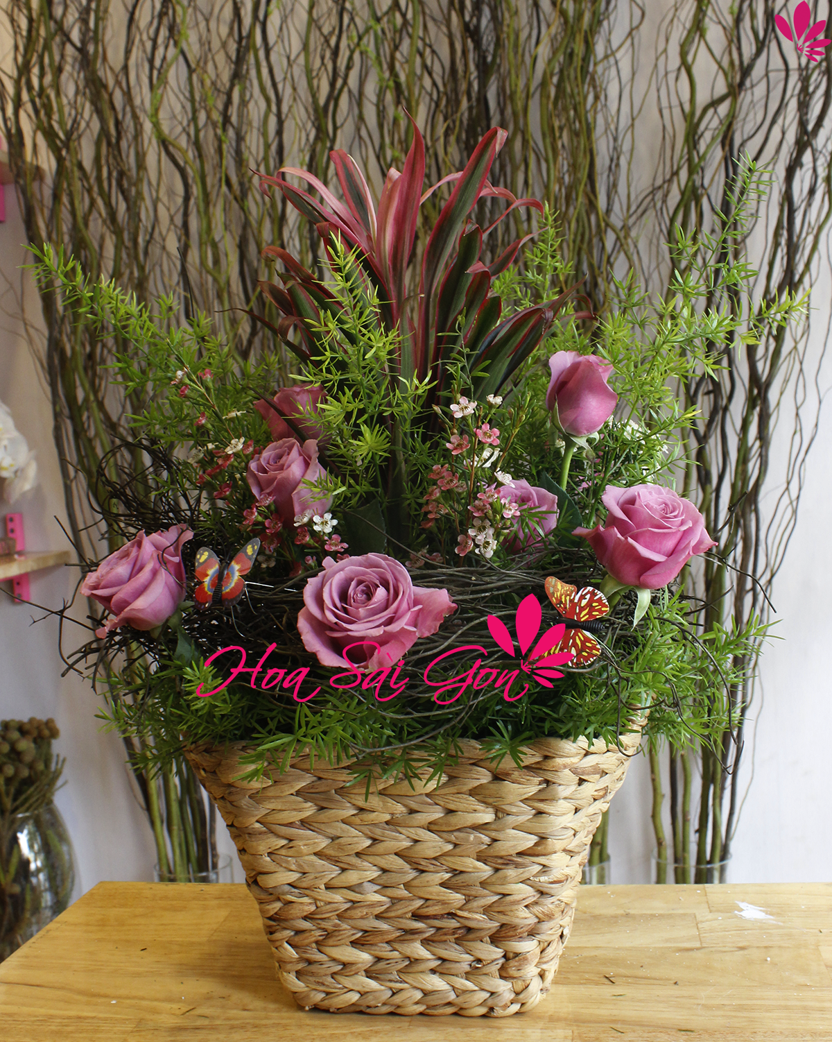 Hoa hồng tím đáng yêu Hoa hồng tím đáng yêu