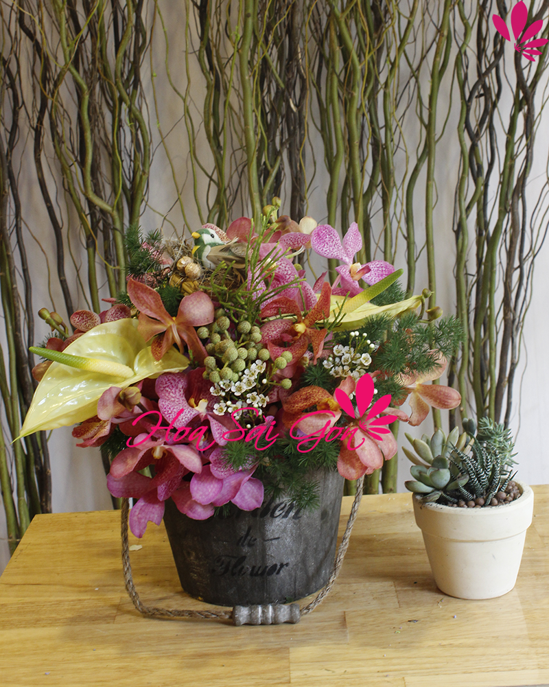 Giỏ hoa lan các loại Giỏ hoa lan các loại