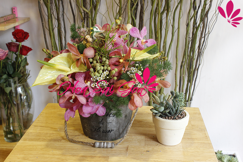 giỏ hoa kết hợp nhiều loại hoa lạ giỏ hoa kết hợp nhiều loại hoa lạ