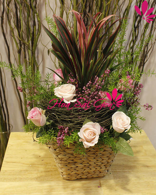 giỏ hoa lạ mắt giỏ hoa lạ mắt