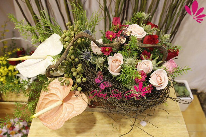 Chậu hoa kết hợp nhiều hoa lạ Chậu hoa kết hợp nhiều hoa lạ