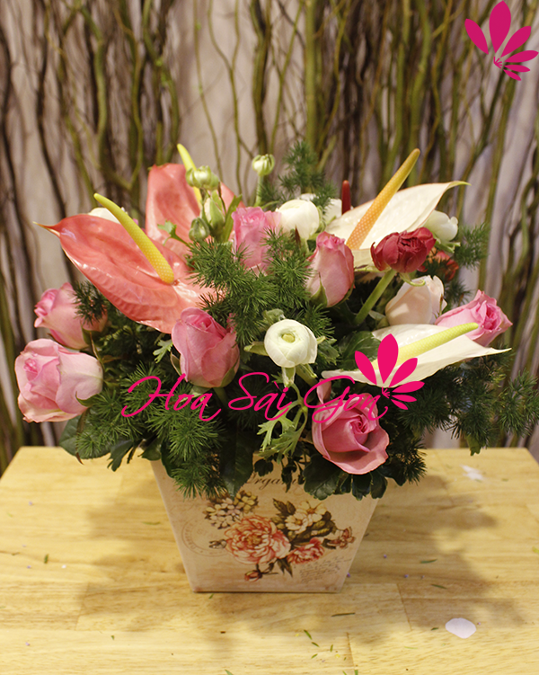 Chậu hoa xinh tươi tặng mẹ Chậu hoa xinh tươi tặng mẹ