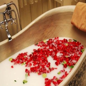 hoa hồng đỏ trong bồn tắm