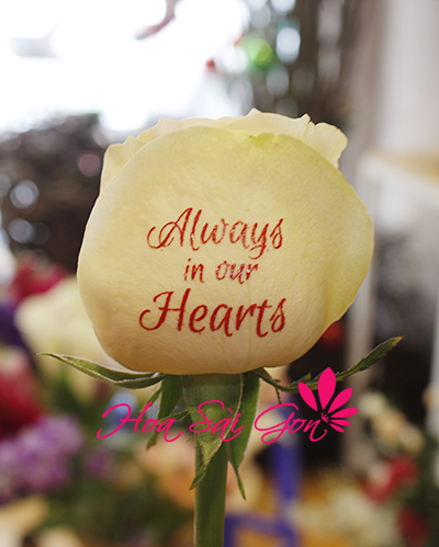 “Always in our Hearts - Luôn trong trái tim chúng tôi” 