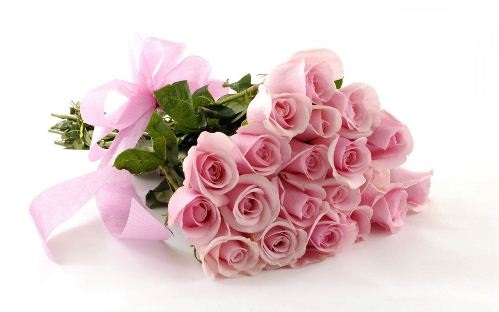 Bó hoa hồng phấn đơn giản tặng bạn gái ngày sinh nhật