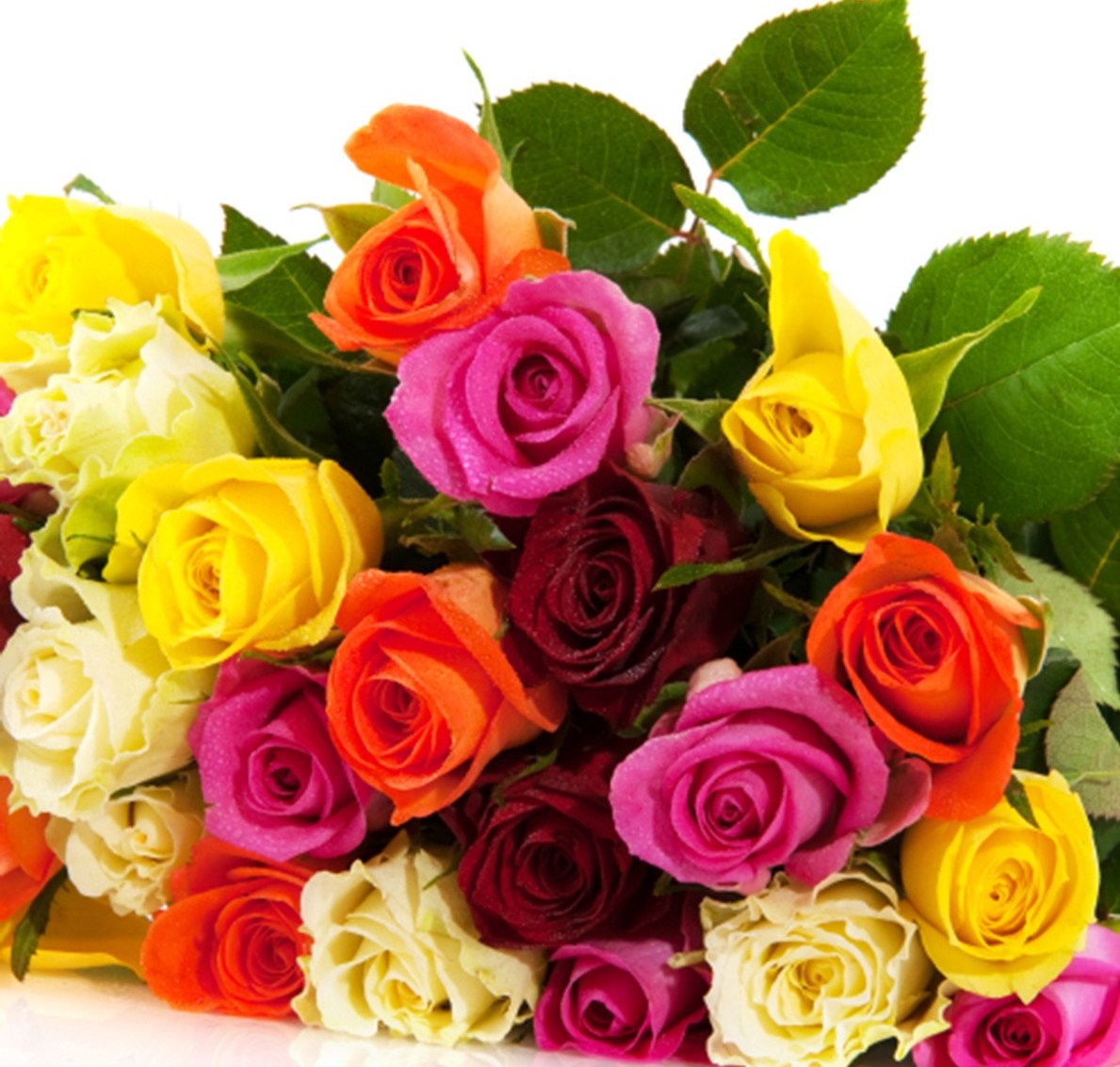 Bí quyết tặng hoa hồng ngày 20/10 cho người phụ nữ thân yêu