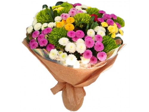 Hoa Calimero nhỏ nhắn, xinh xắn, đầy trẻ trung và tươi mới