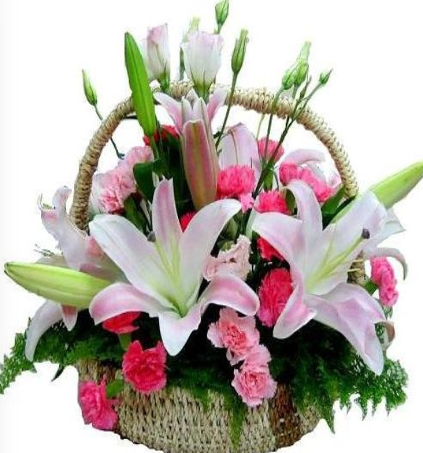 Nếu bạn tặng cho sếp hoa giỏ bằng lily có nghĩa là bạn muốn thể hiện sự ngưỡng mộ, khâm phục tới tài năng của sếp