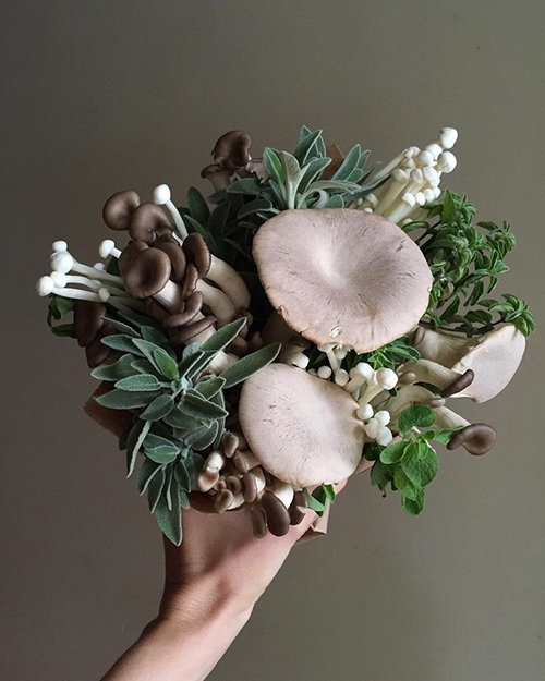 Bạn có thể kết hợp nhiều loại nấm trong cùng một bó hoa cưới