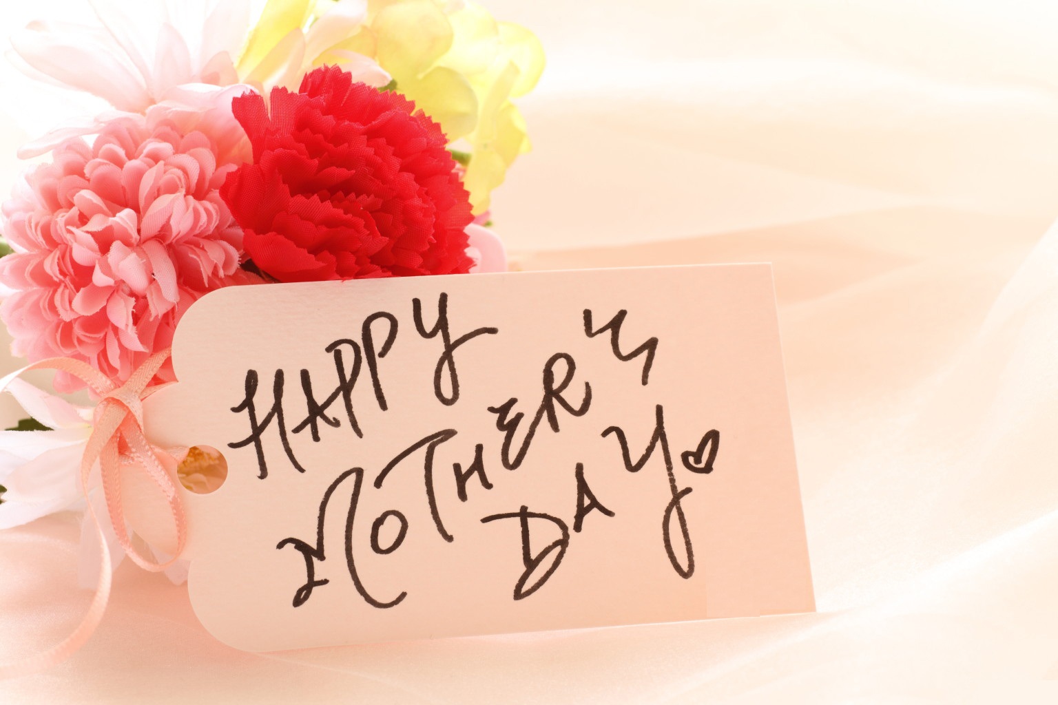 Cẩm chướng là loài hoa được chọn để dành tặng cho Mẹ vào ngày 14/5