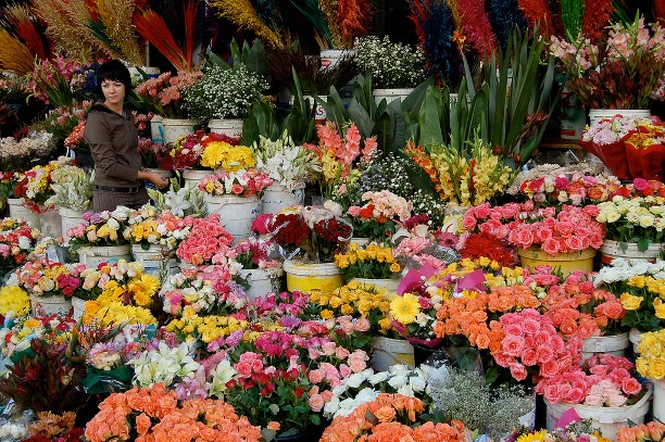 những người phụ nữ bán hoa ở đây luôn tươi cười khi chào đón khách đến xem và mua