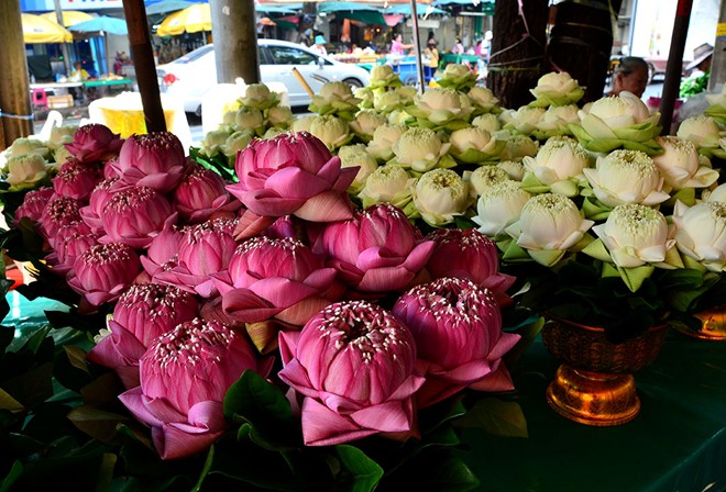 Chợ hoa Pak Khlong là địa điểm hấp dẫn và thú vị nhất ở Bang kok