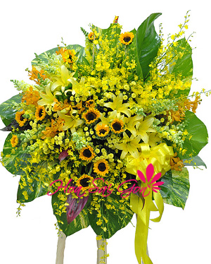 Những đóa hoa xinh đẹp với những ý nghĩa riêng sẽ giúp bạn dễ dàng nhắn gửi tình cảm chân thành của mình