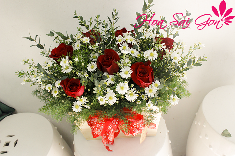 Hãy để Dịu ngọt làm món quà minh chứng cho tình cảm hai bạn Hãy để Dịu ngọt làm món quà minh chứng cho tình cảm hai bạn