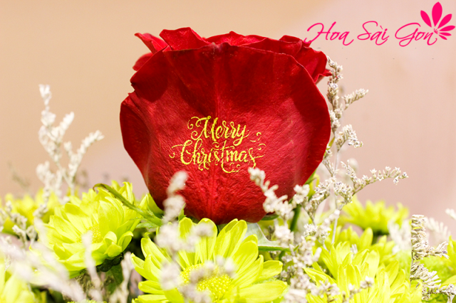 Giỏ hoa là món quà tuyệt vời cho mùa Noel an lành