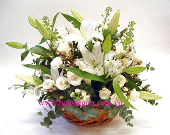 Hoa chia buồn - Giỏ hoa lily trắng