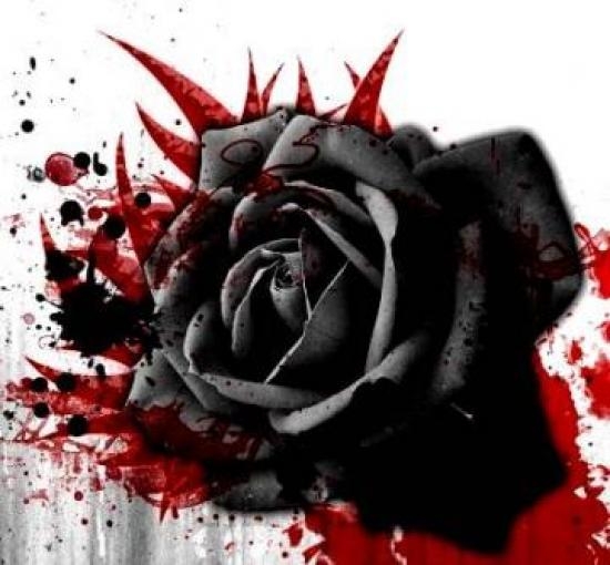 ý nghĩa của hoa hồng đen
