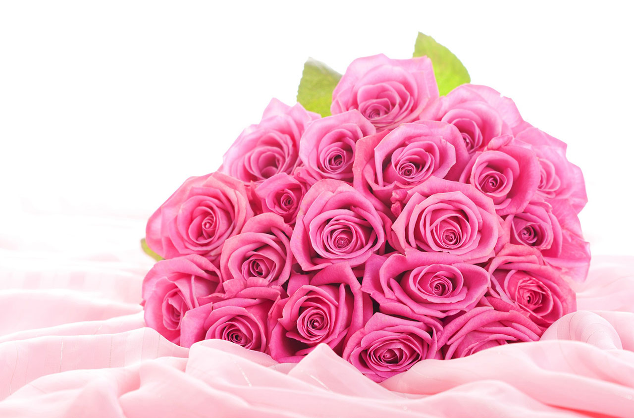 Hoa hồng phấn thích hợp làm quà tặng sinh nhật cho cô bạn gái mới quen 