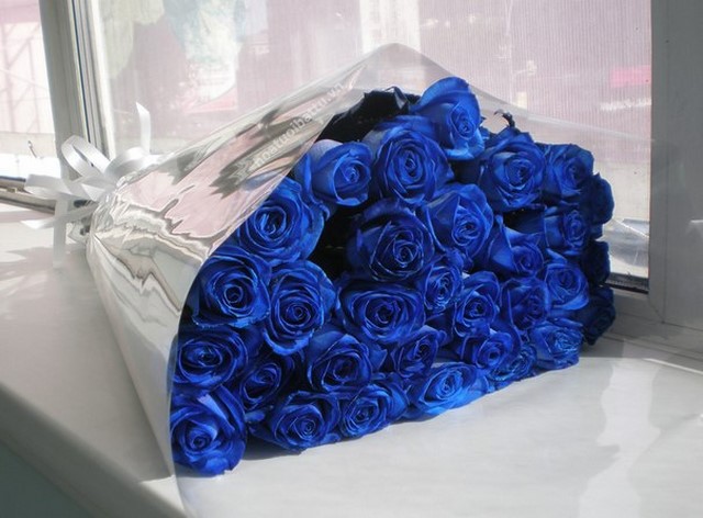 hoa hồng xanh hoa bó