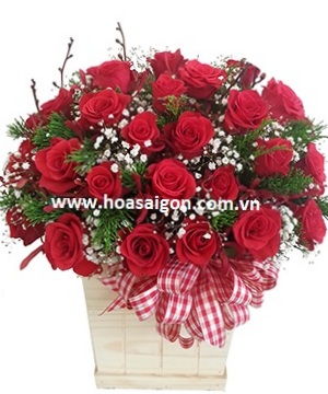 hoa tặng bạn gái 20/10 - pt30 hoa tặng bạn gái 20/10 - pt30