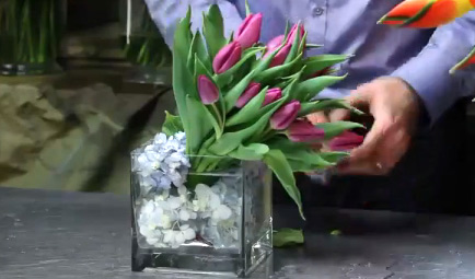 cách cắm hoa tulip