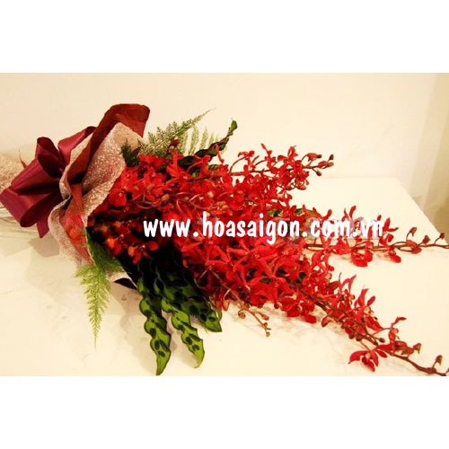 hoa tươi 20/10 hoa tươi 20/10