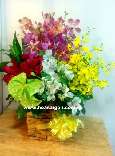 hoa tươi 20/10 pt15 hoa tươi 20/10 pt15