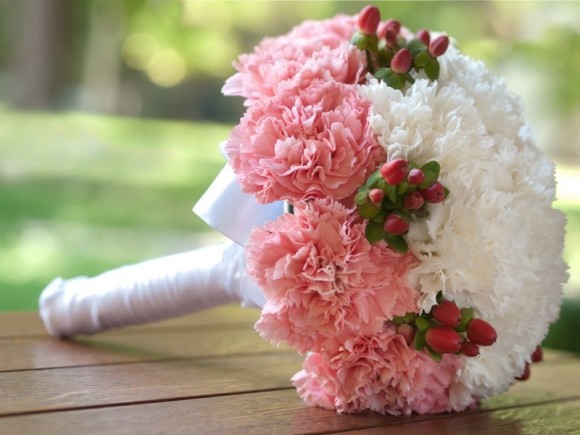 Hoa cẩm chướng là biểu trưng của tình yêu thiêng liêng và cao đẹp