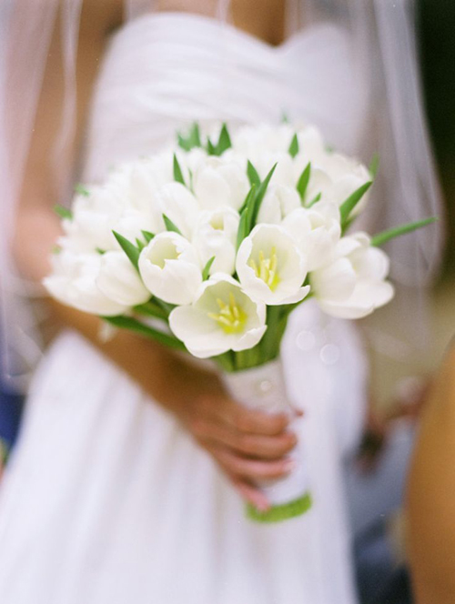    Tulip là loài hoa mang đến vẻ thanh lịch và sang trọng cho cô dâu