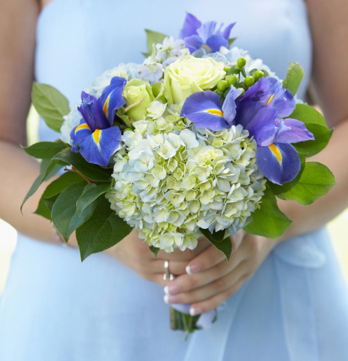 Bó hoa cưới cầm tay cẩm tú cầu đẹp