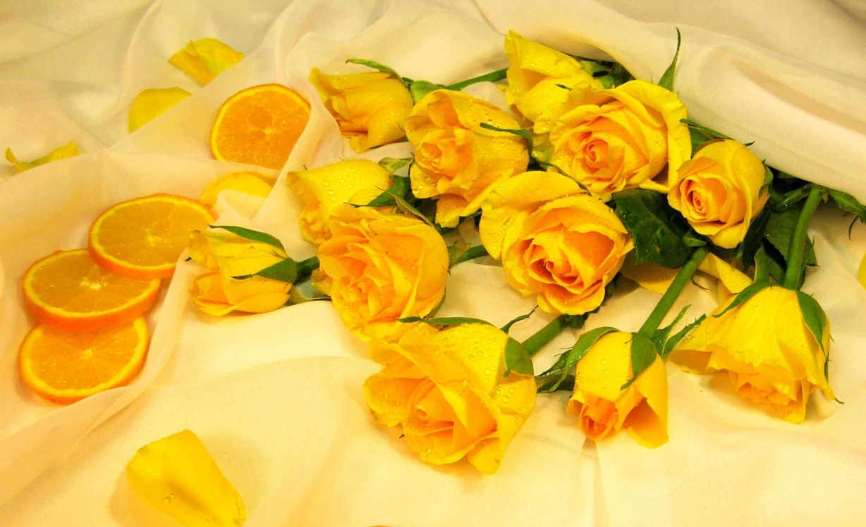 Hoa hồng vàng tặng vợ trong ngày sinh nhật
