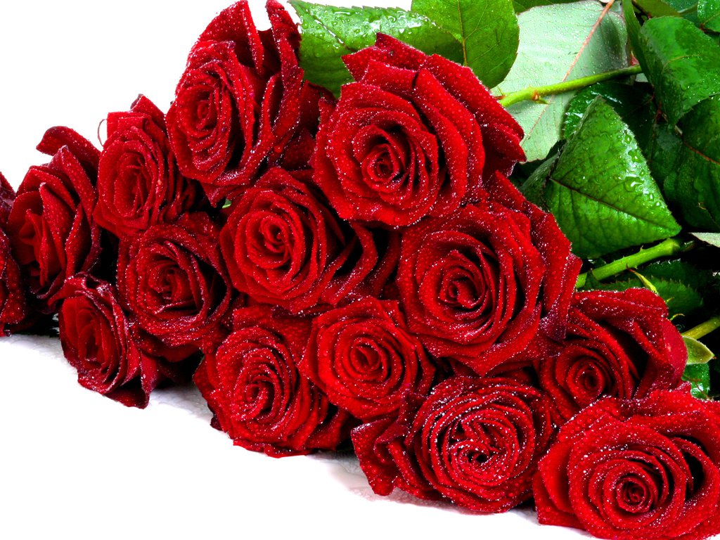có thể chọn hoa hồng đỏ để thể hiện tình yêu luôn nồng cháy, mãnh liệt như những ngày đầu