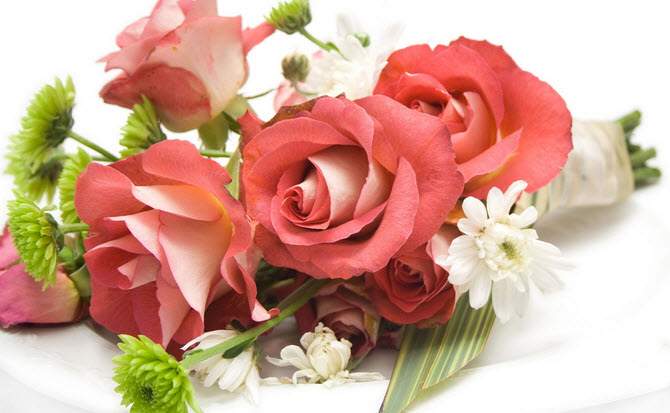 Một bó hoa hồng dâu cũng là một sự lựa chọn thích hợp