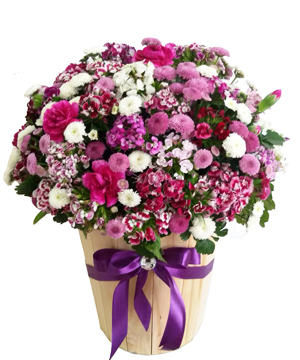 Những bó hoa Calimero đẹp tặng bạn thân