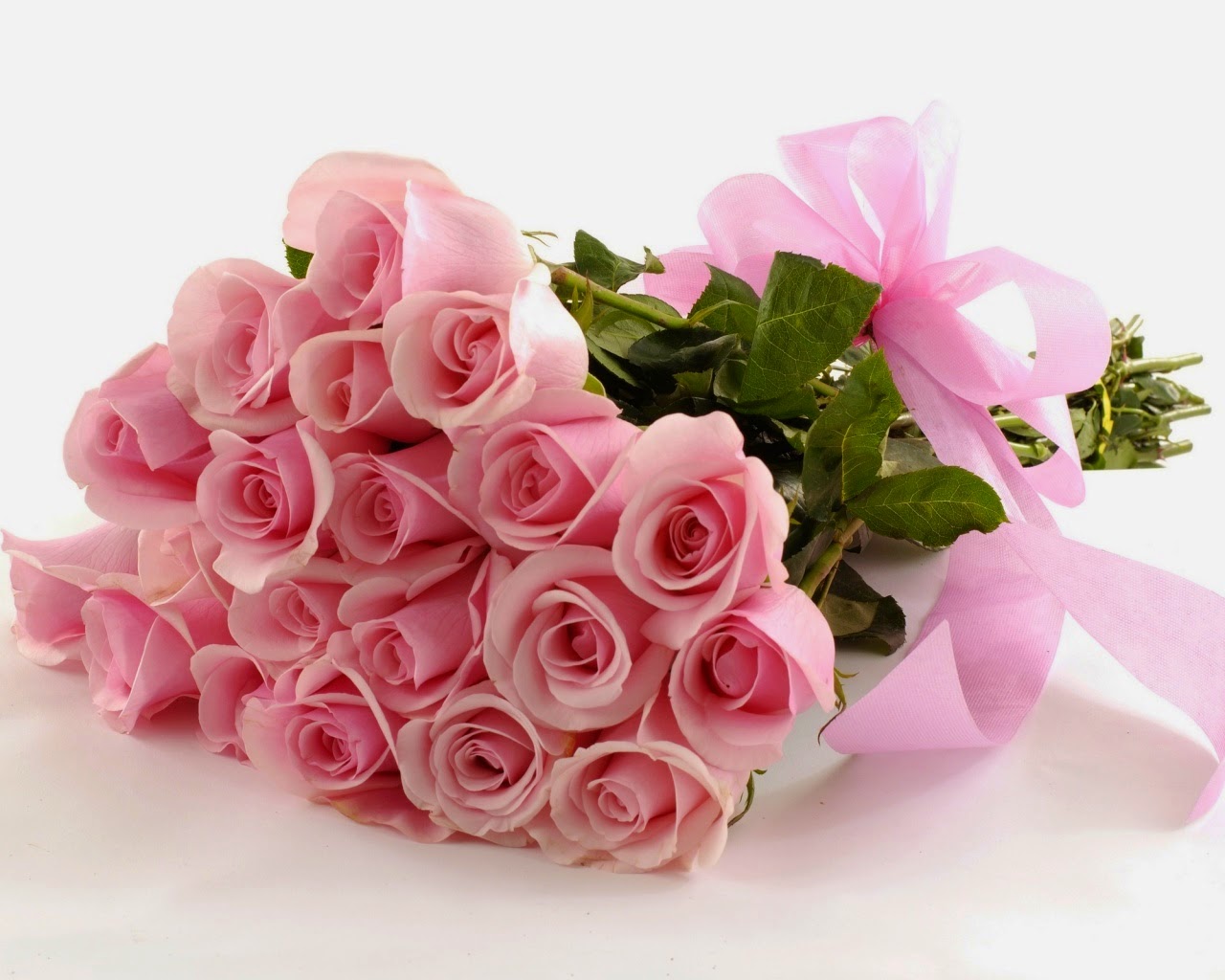 Hoa hồng phấn là món quà ý nghĩa dành tặng những cô nàng dịu dáng, thùy mị