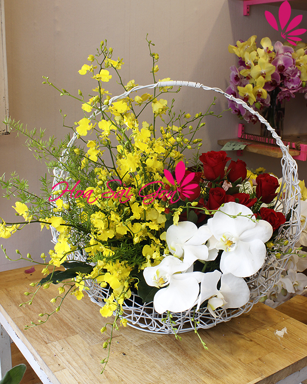 Hoa lan được xem là một loại hoa sang trọng nhất để tri ân thầy cô giáo nhân ngày 20/11
