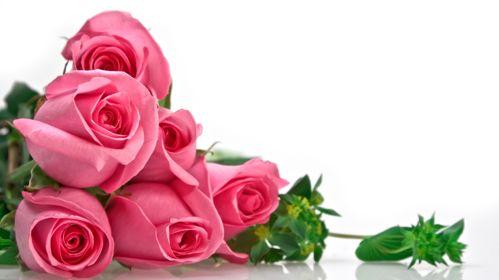 Tặng hoa hồng vào ngày của Mẹ