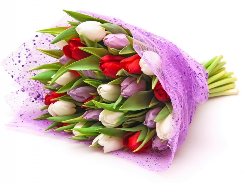 Bó hoa tulip đẹp dành tặng sếp nữ trong ngày 20/10