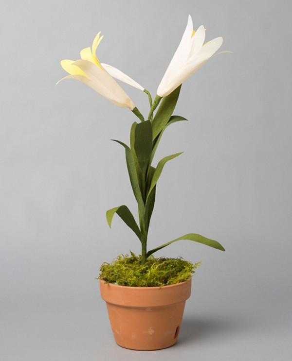 Lily là loài hoa quý phái và có mùi thơm sẽ là món quà tuyệt vời dành cho sinh nhật cho người thân bạn bè