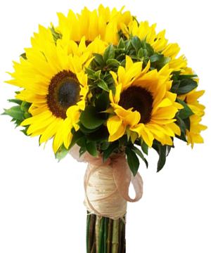 Hoa hướng dương chính là món quà hoàn hảo nhất để bạn là loài hoa rực rỡ dành tặng mẹ