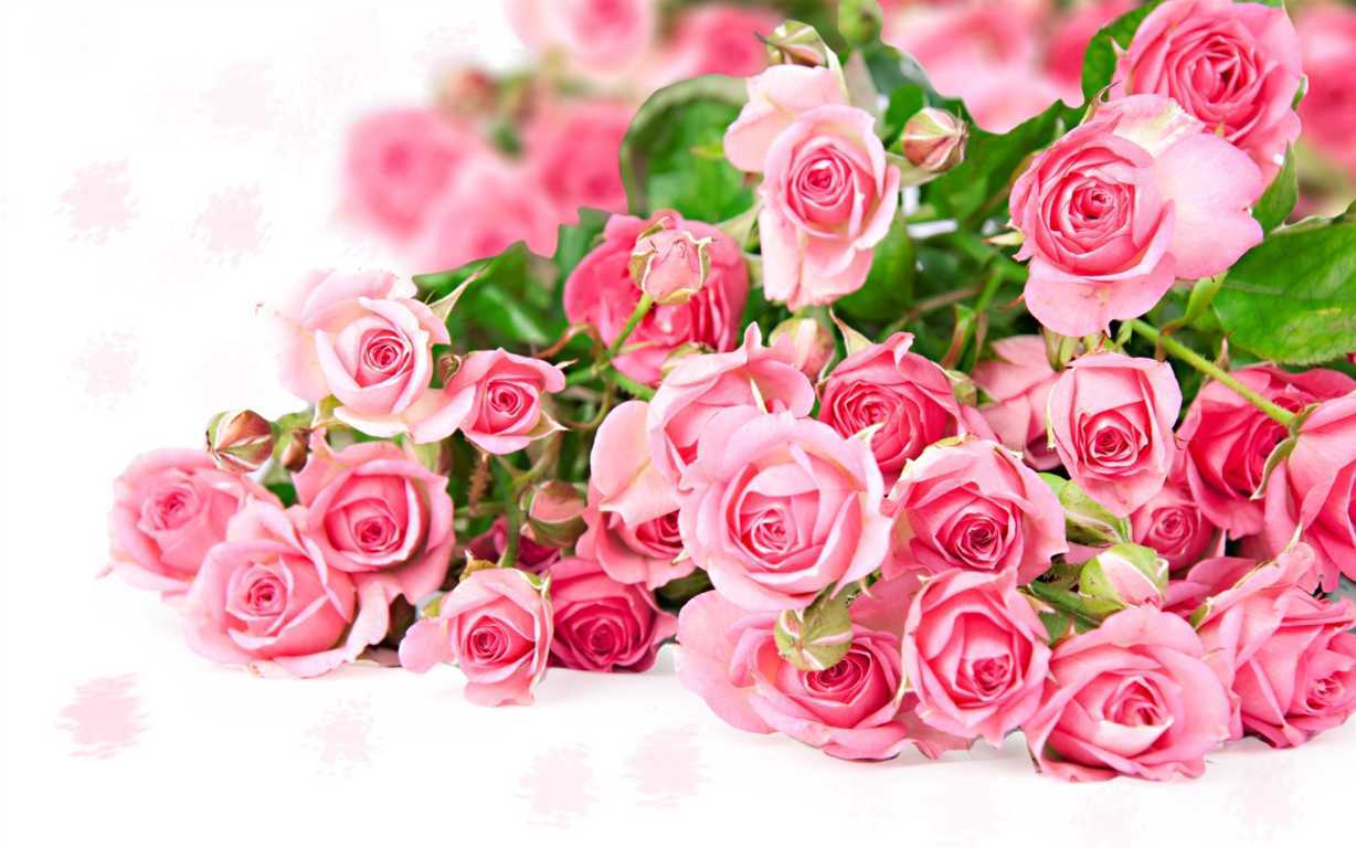 Tặng hoa cho mẹ ngày 20/10 là một bó hay giỏ hoa hồng thể hiện tình yêu của con dành cho mẹ không bao giờ thay đổi