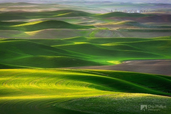 Những thảo nguyên xanh trải dài "bất tận" trên thế giới